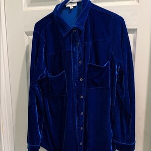 Umgee Royal Blue Velvet Blouse
